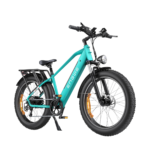 ENGWE E26 250W Electric Bike