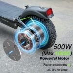 Electric Scooter S10 For Adult